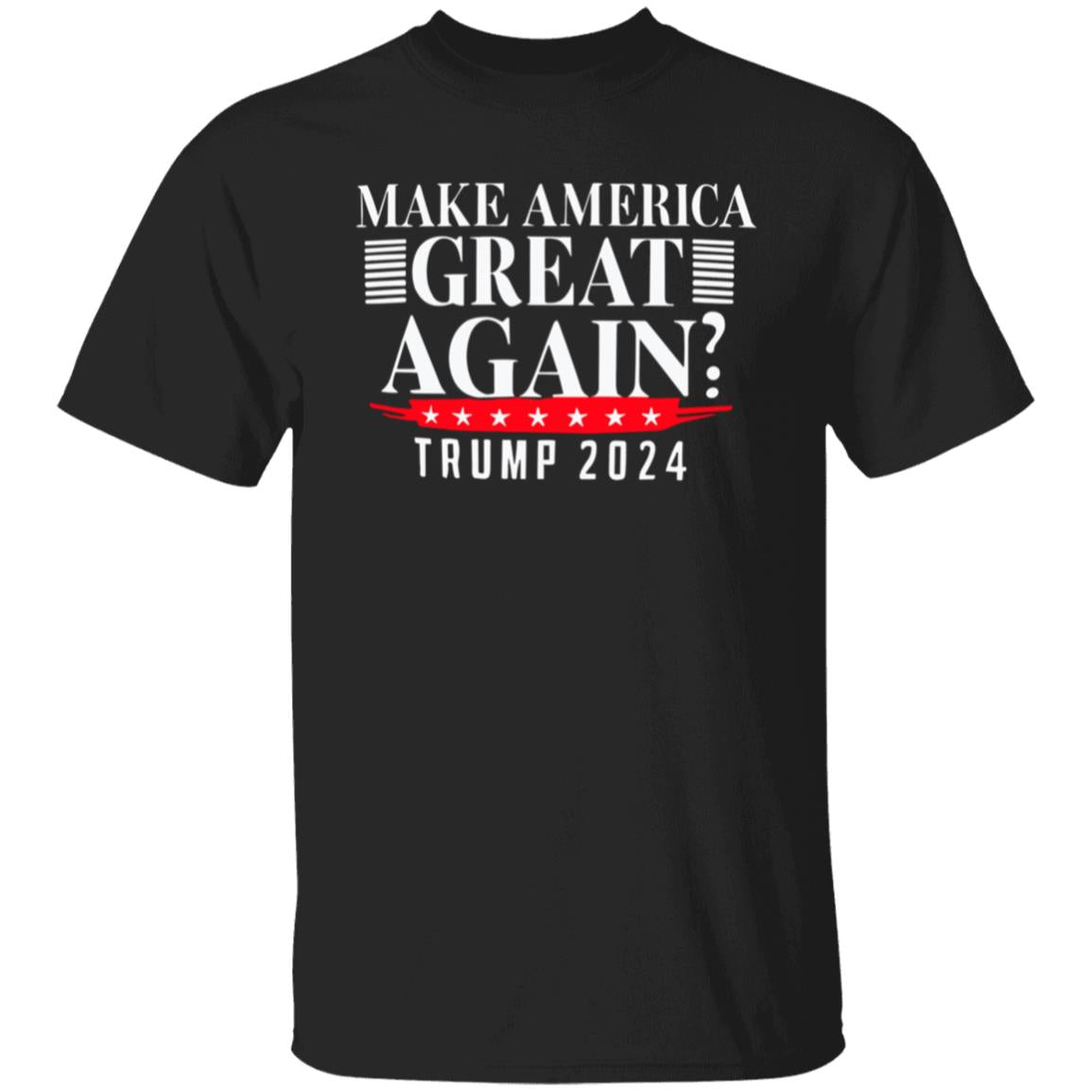 Make America Great Again? T-Shirt